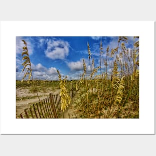 Tybee Island, Georgia Posters and Art